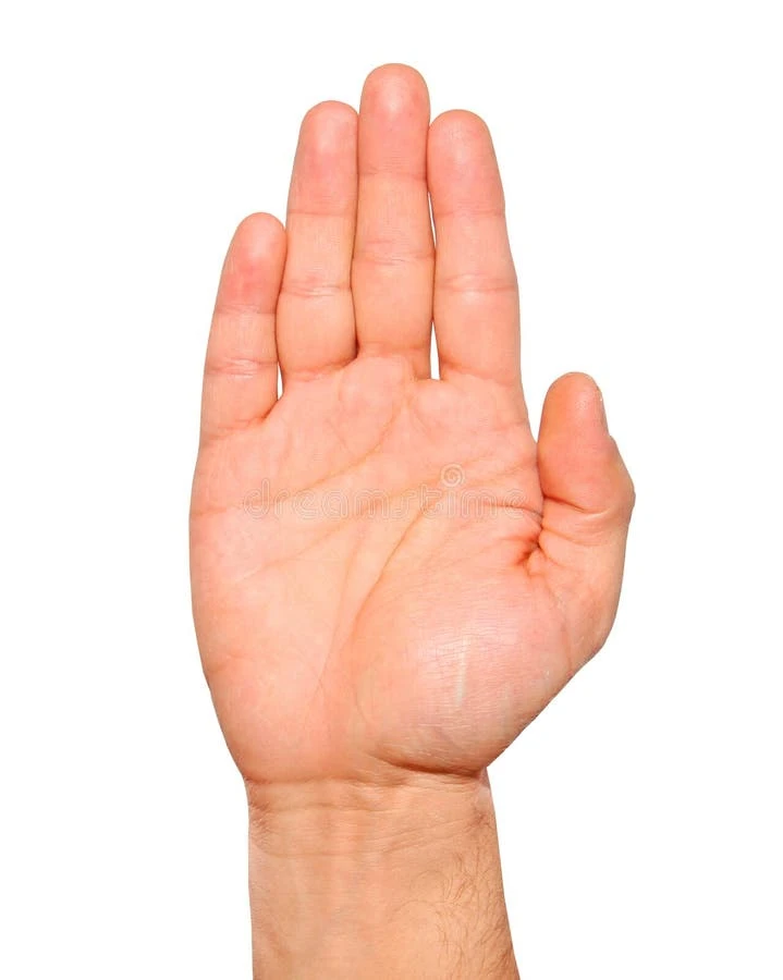 Based on my hand I want you to make a complete palm reading guide, Analyz...