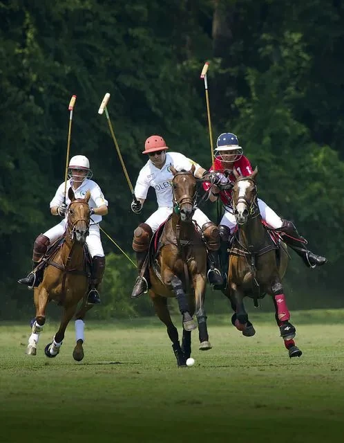 Ultra-realistic professional polo match in full action, three polo player...
