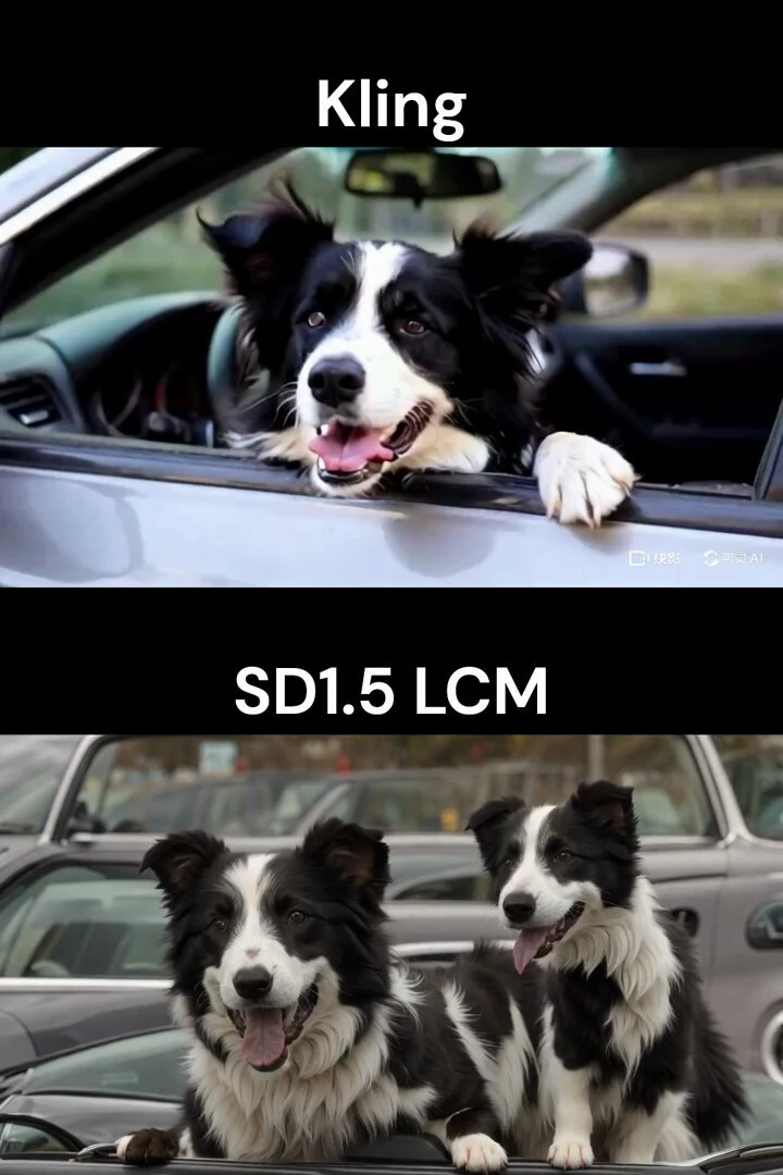 A cute black and white border collie, with its head sticking out of the c...