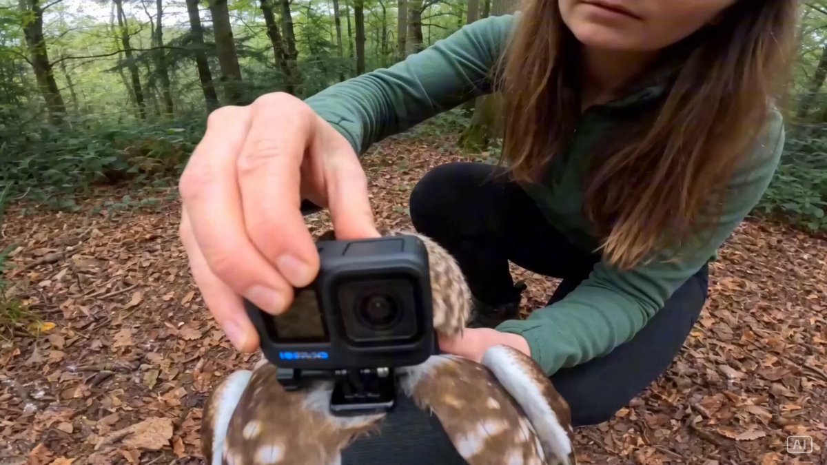 POV continuous one-take cinematic sequence with strict camera-source lock.