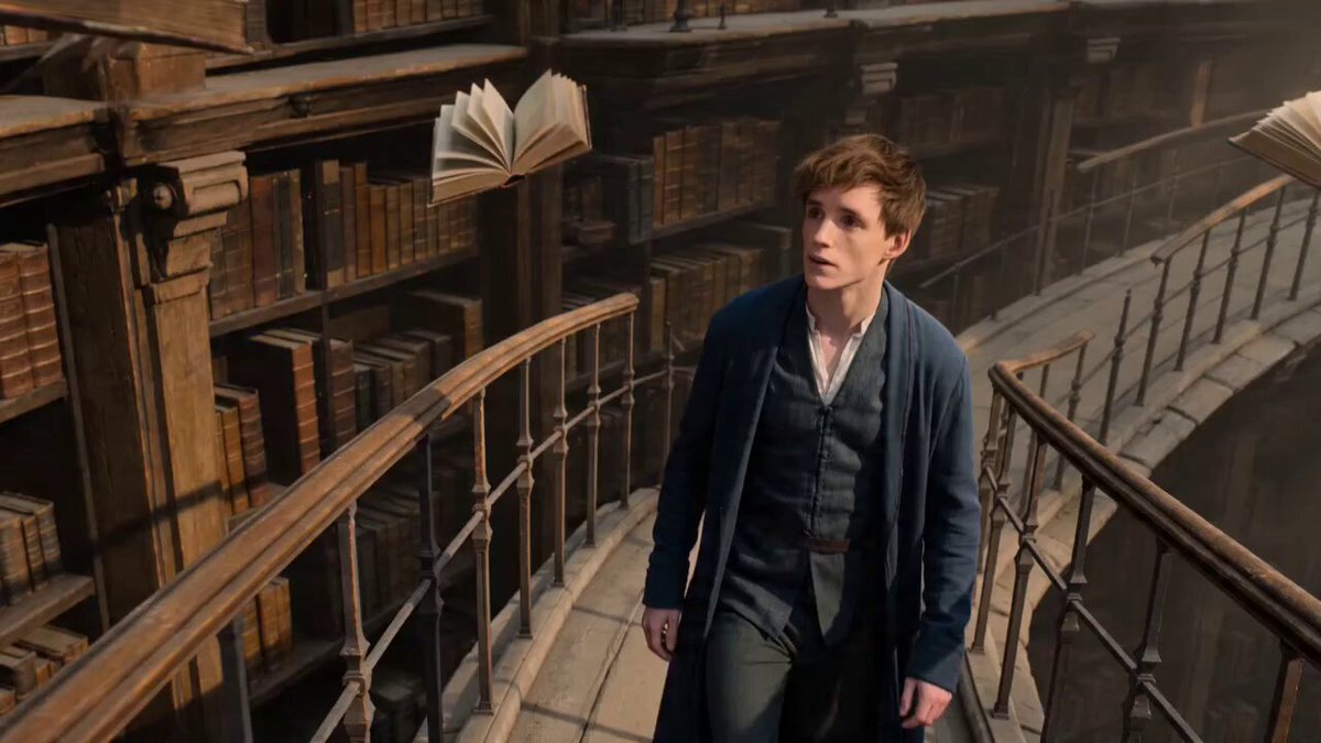 A young archivist walks along a narrow bridge between endless shelves sus...