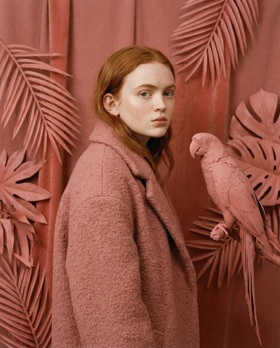 vibe_title_en": "Velvet Camouflage",